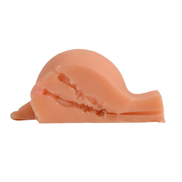 pleasure toy
