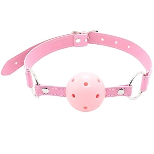 pink pleasure toy