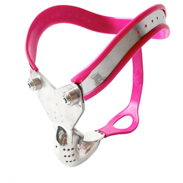pleasure toy