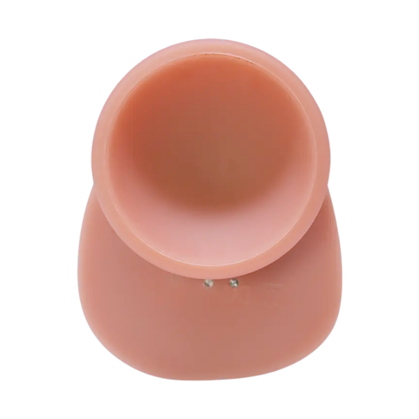 dildo