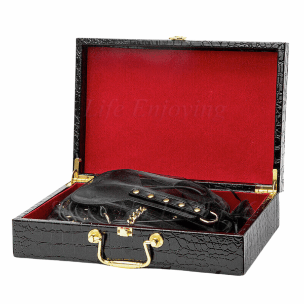pleasure toy