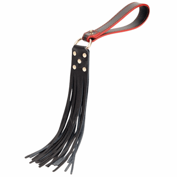 pleasure toy