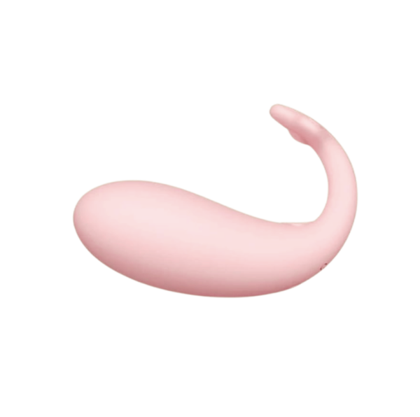 vibrator