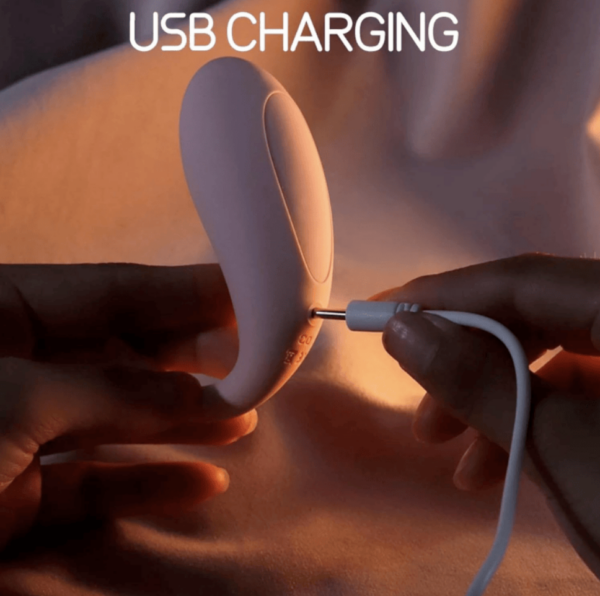 vibrator