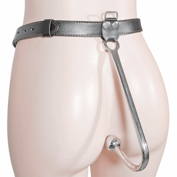 anal hook