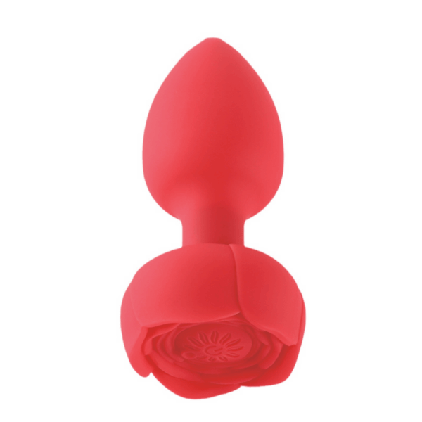 black anal toy