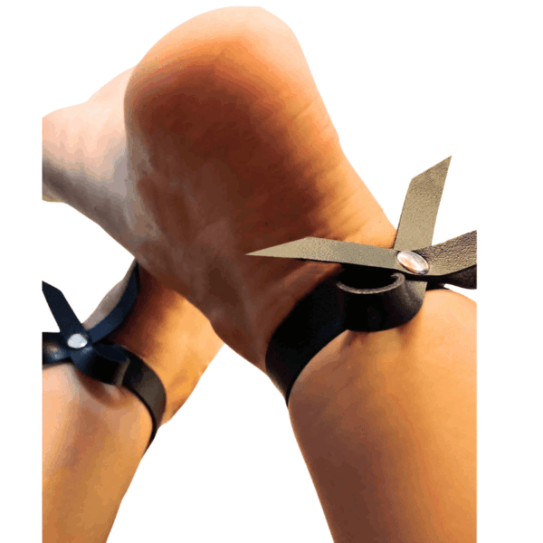 pleasure toy