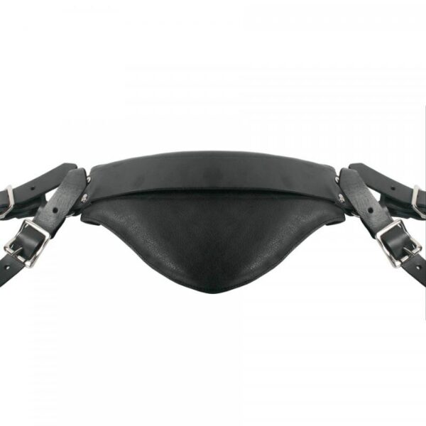 pleasure toy