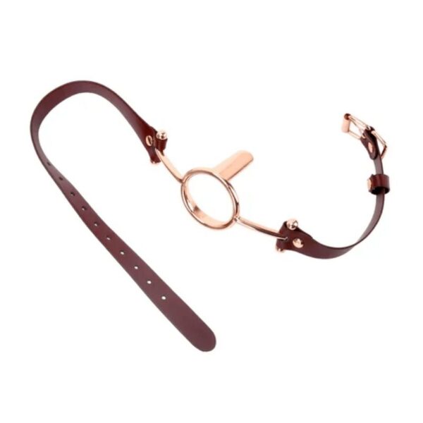pleasure toy