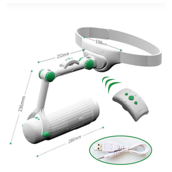 anal toy