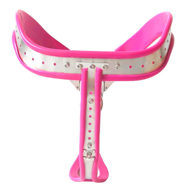 pleasure toy