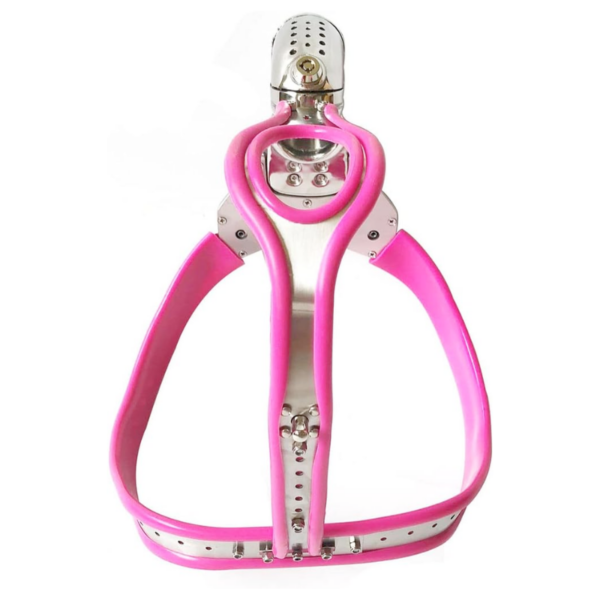 pleasure toy