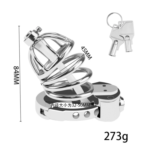 Fortress Lock Chastity Cage