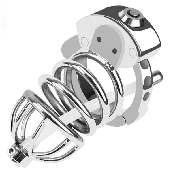 Fortress Lock Chastity Cage