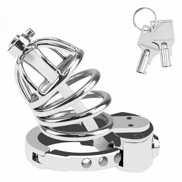 Fortress Lock Chastity Cage