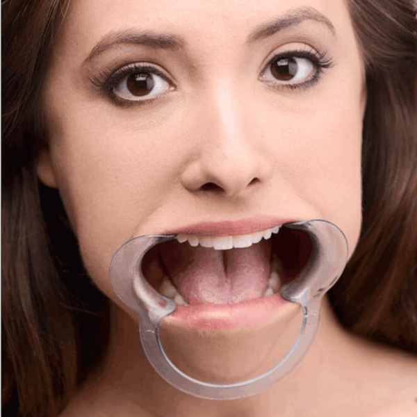 pleasure toy