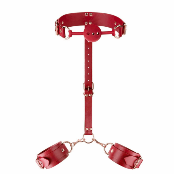 bondage accessory