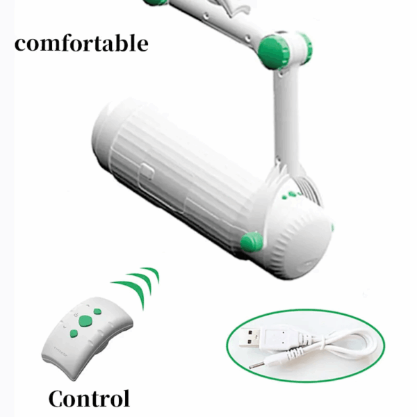 pleasure toy