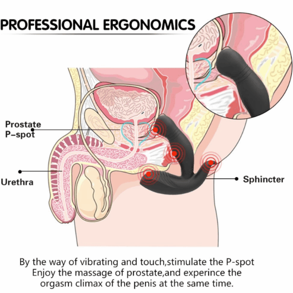 vibrator