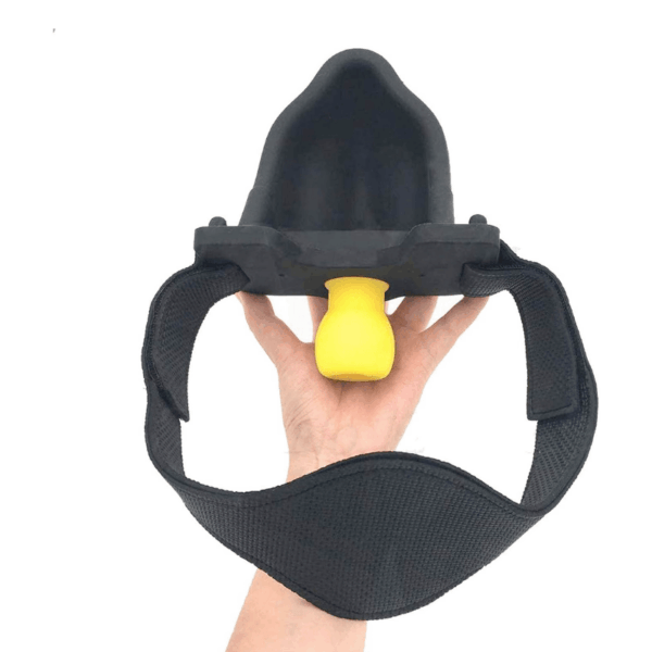pleasure toy