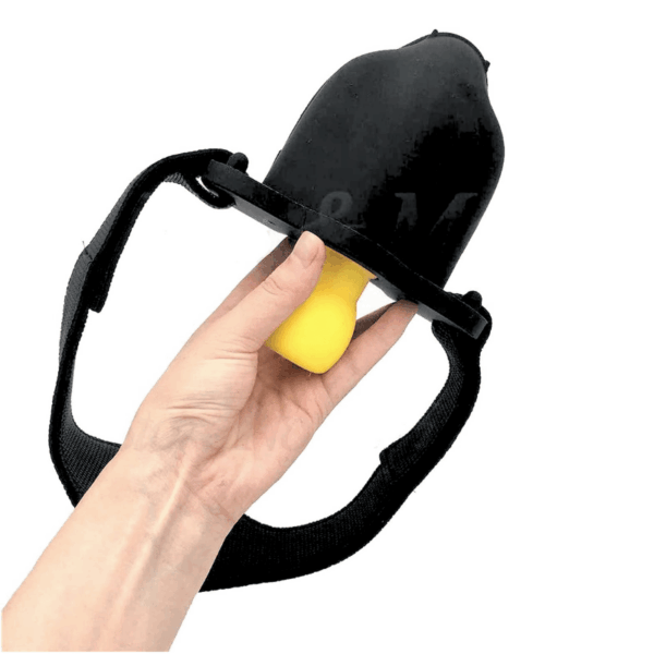 pleasure toy