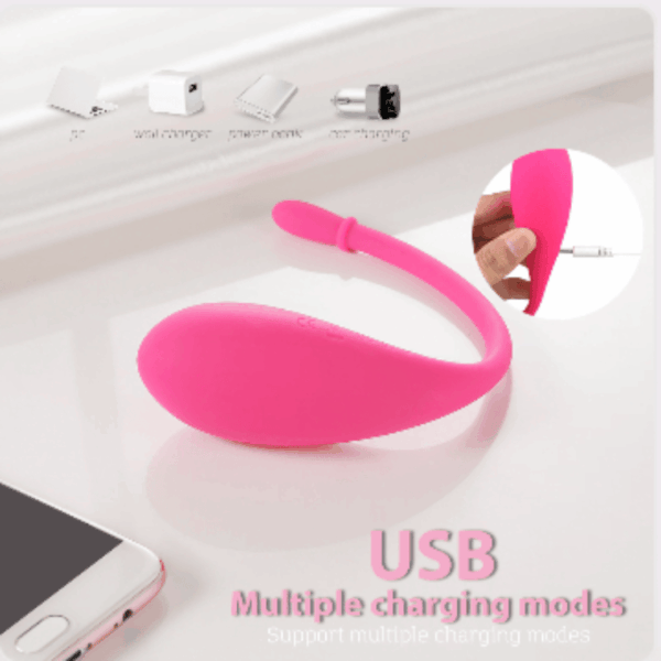 vibrator