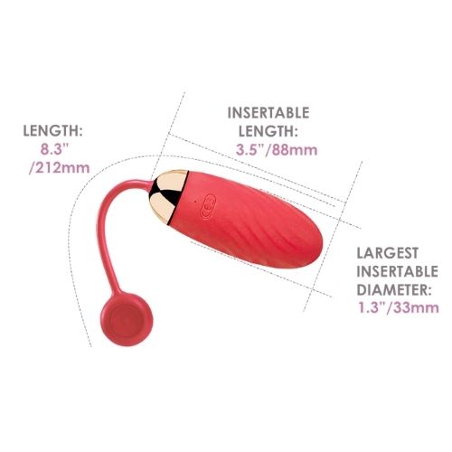 vibrator