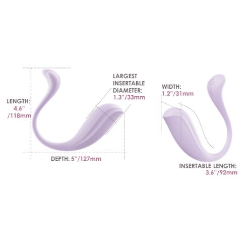 vibrator