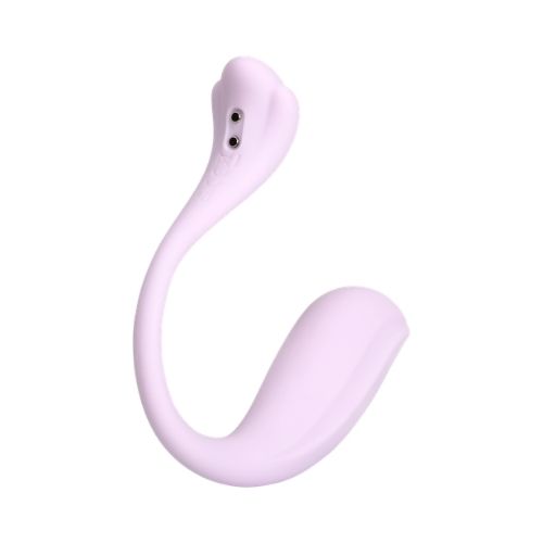 vibrator