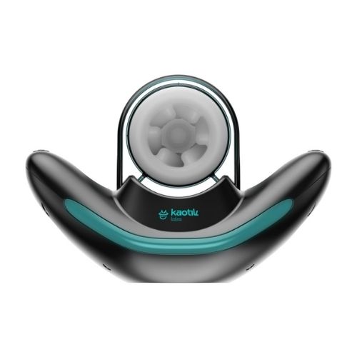 pleasure toy