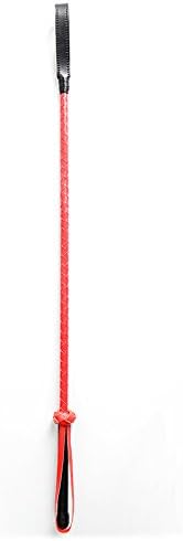 pleasure toy