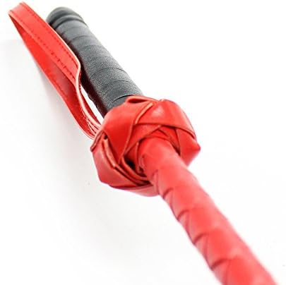 pleasure toy