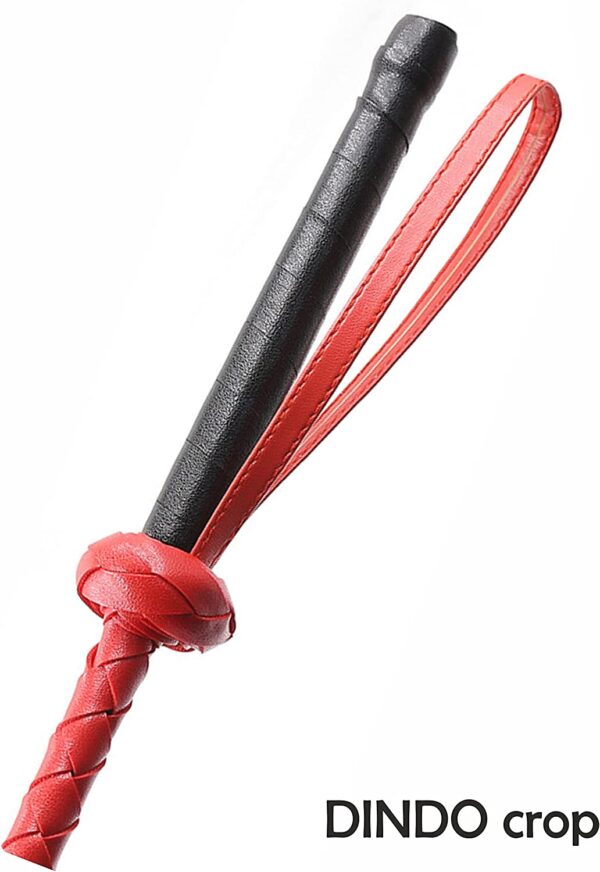 pleasure toy