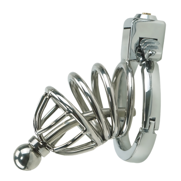pleasure toy