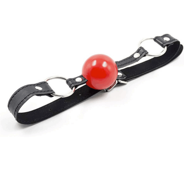pleasure toy