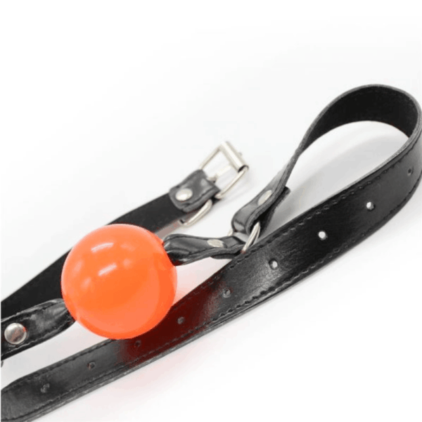 pleasure toy