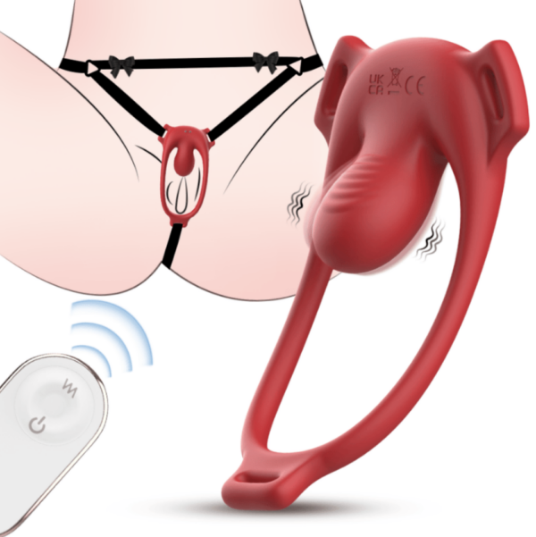 vibrator