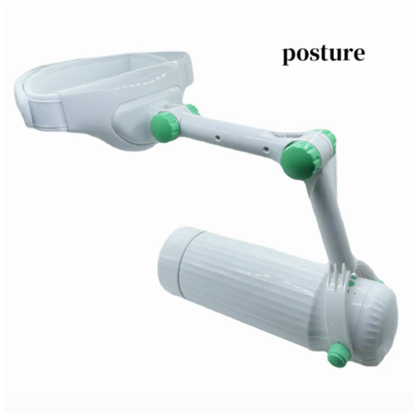 pleasure toy