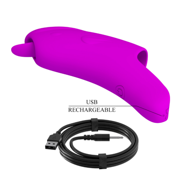 vibrator