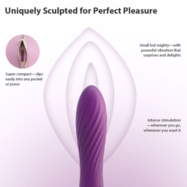 vibrator