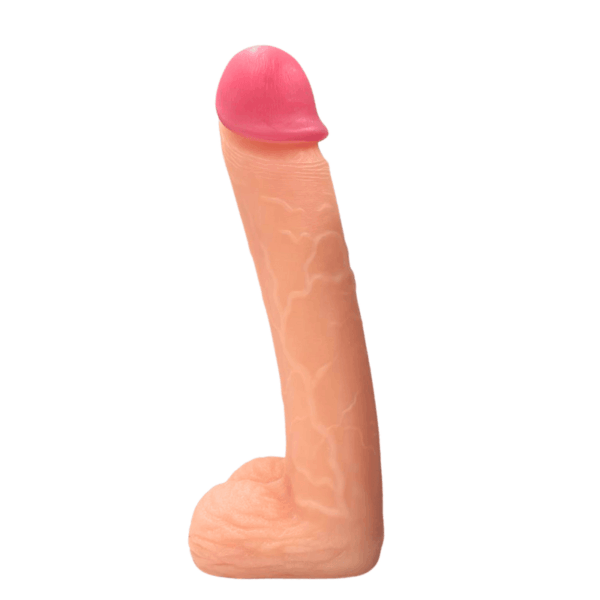 pleasure toy