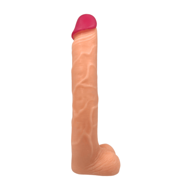pleasure toy