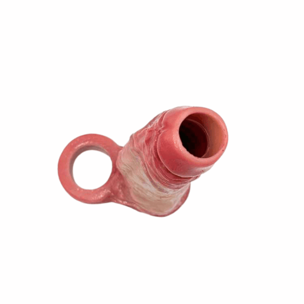 pleasure toy
