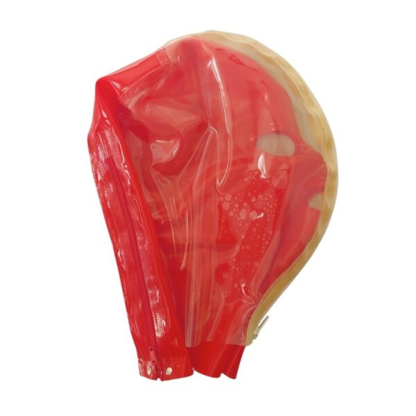 pleasure toy