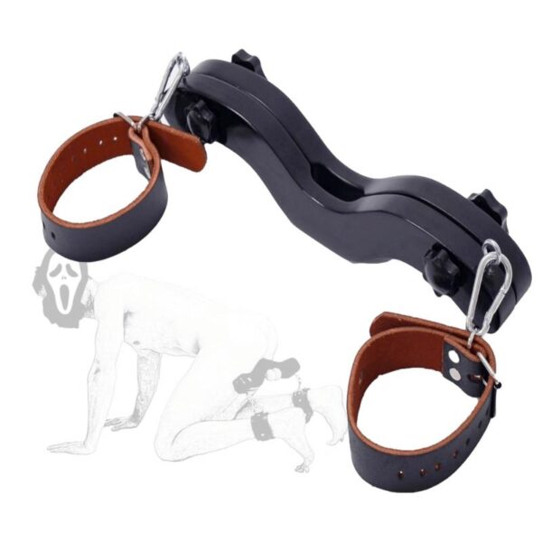 pleasure toy