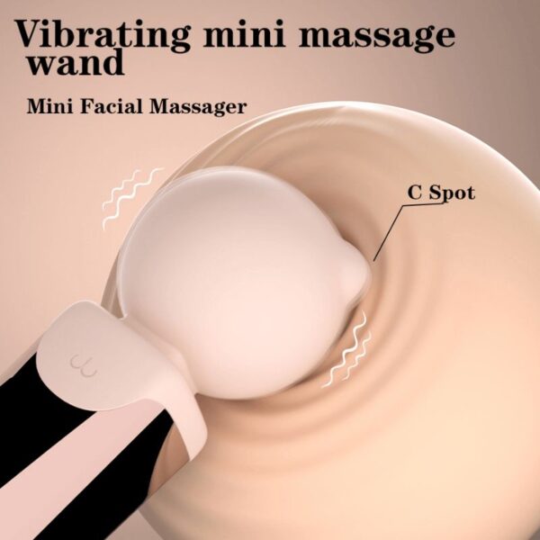 vibrator