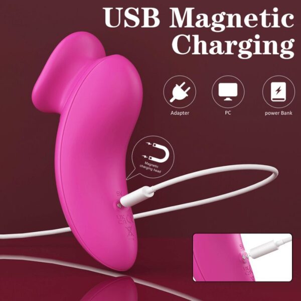 vibrator