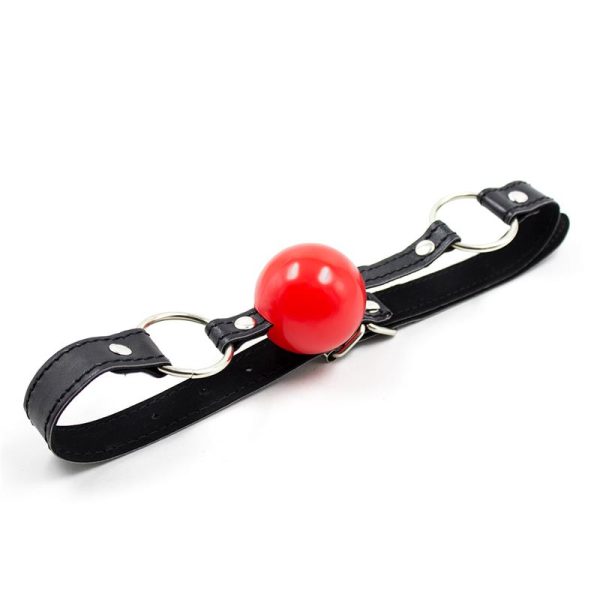 pleasure toy