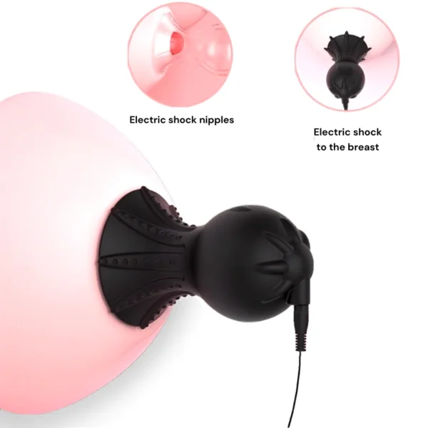 pleasure toy