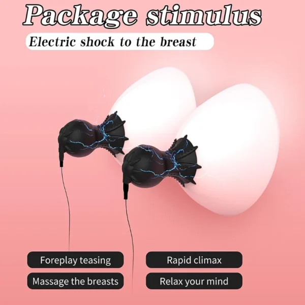 pleasure toy